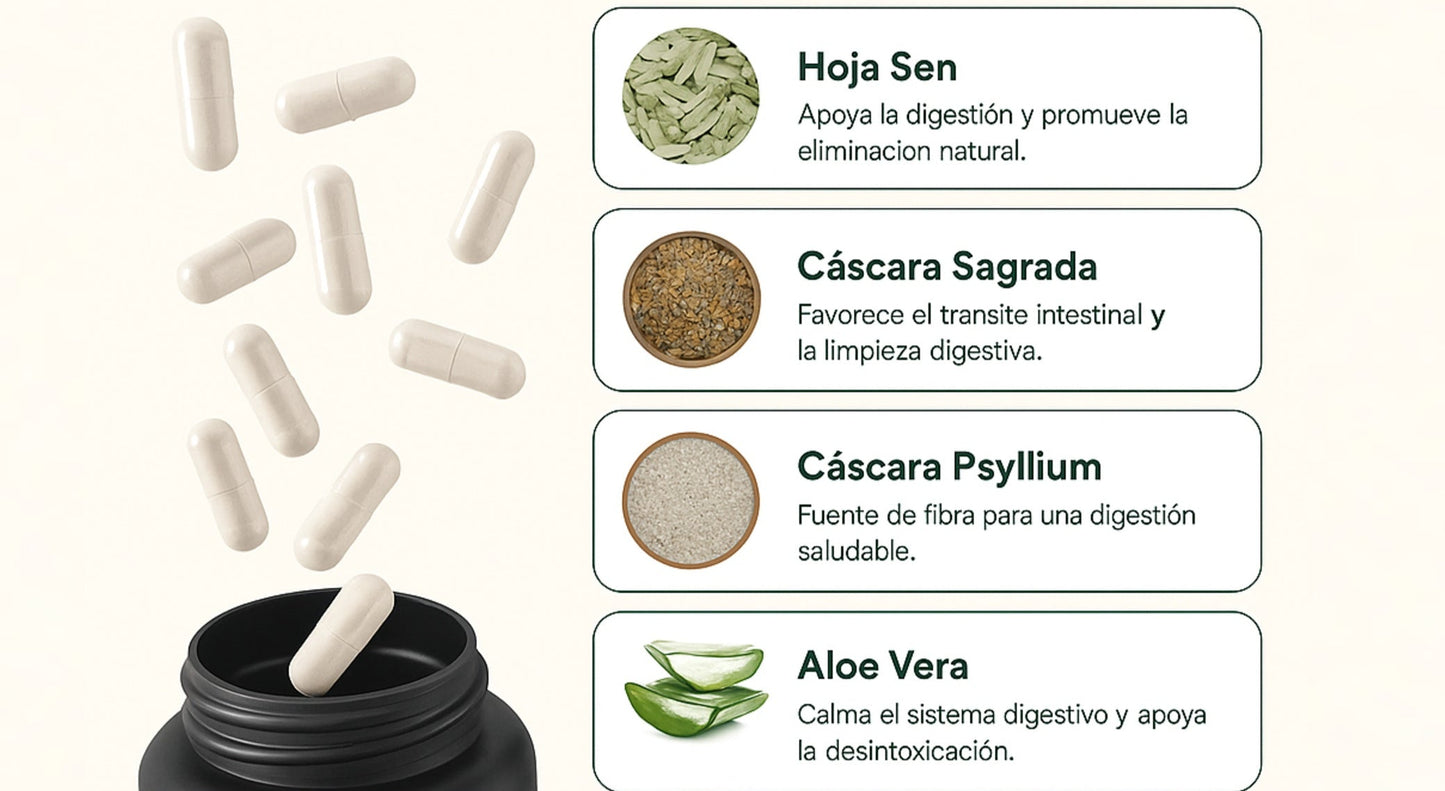 Limpieza de 15 Días