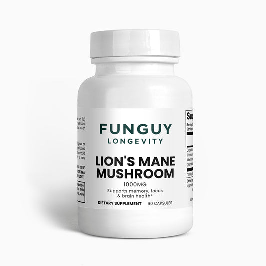 Lion's Mane Mushroom